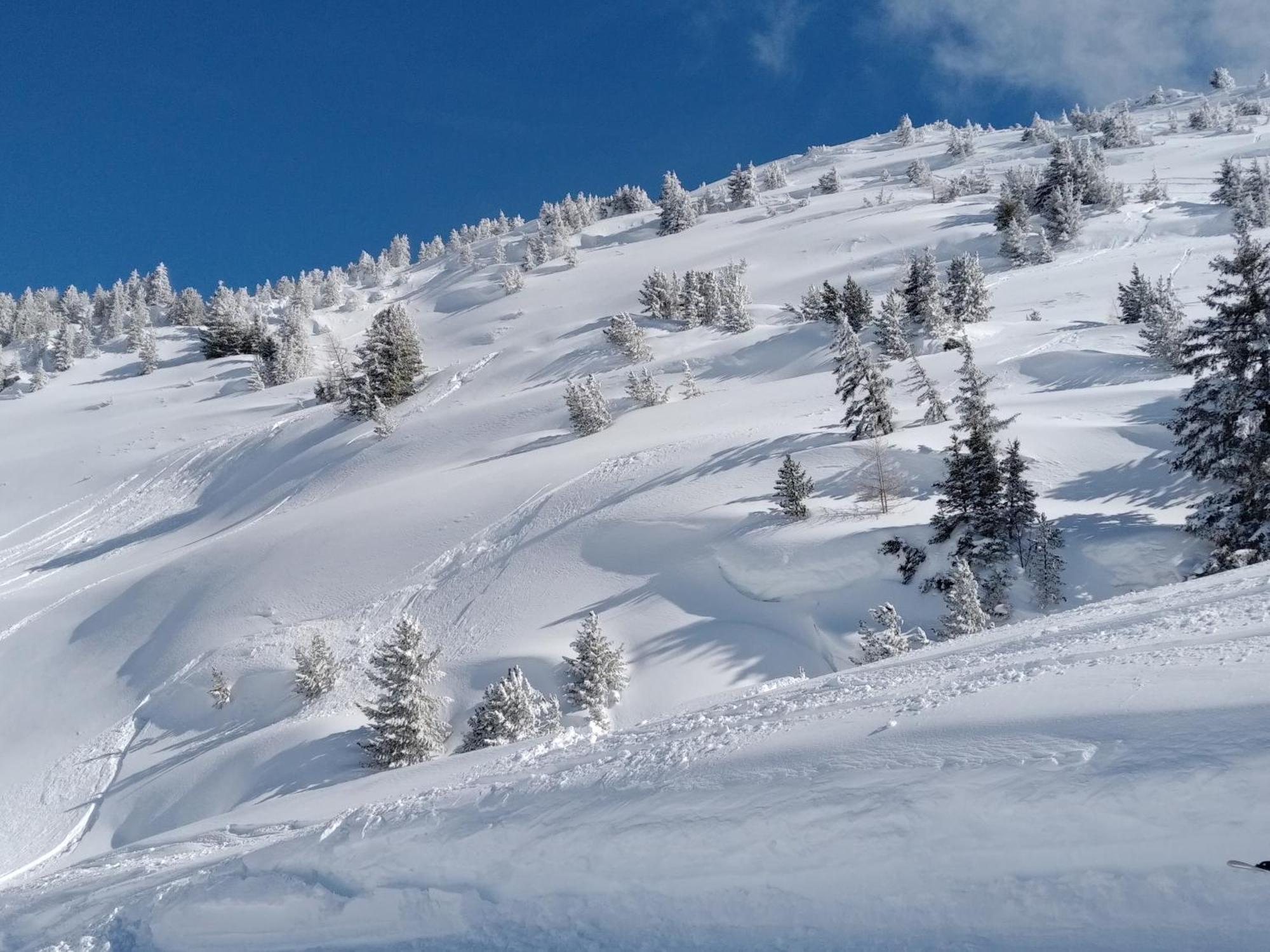 Walser A 13 Kms Chamonix France * Vallorcine